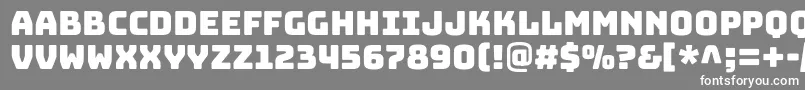BungeecolorRegularSvg Font – White Fonts on Gray Background