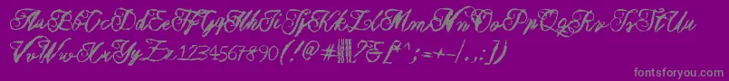 Muurahaiskarhu Font – Gray Fonts on Purple Background