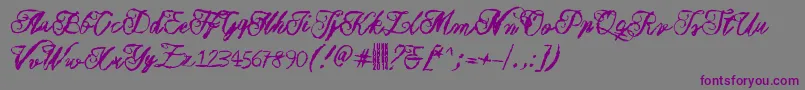 Muurahaiskarhu-Schriftart – Violette Schriften auf grauem Hintergrund