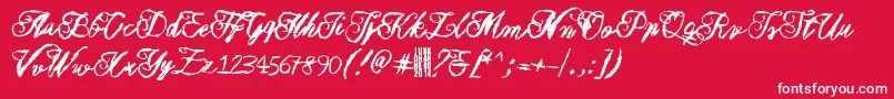 Muurahaiskarhu Font – White Fonts on Red Background