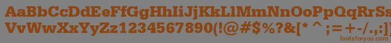 SerifaBlackBt Font – Brown Fonts on Gray Background