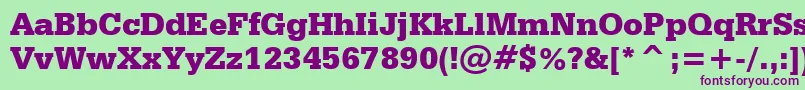 SerifaBlackBt-Schriftart – Violette Schriften auf grünem Hintergrund