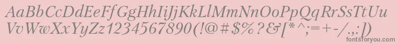 PetersburgcItalic Font – Gray Fonts on Pink Background