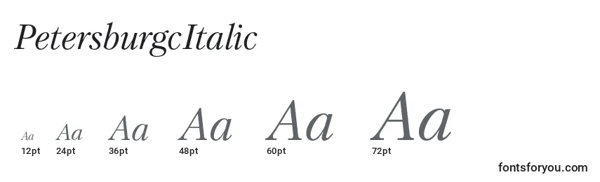 Размеры шрифта PetersburgcItalic