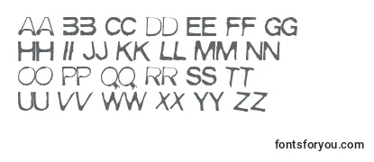 Review of the Meirrg Font