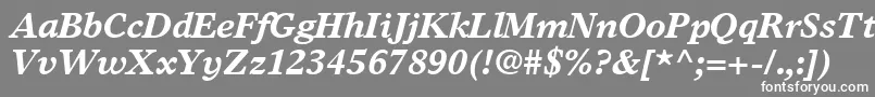 フォントGrecoEuropaSsiBoldItalic – 灰色の背景に白い文字