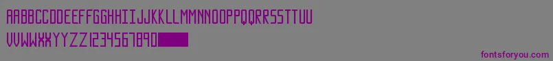 フォントSundanceNeue – 紫色のフォント、灰色の背景
