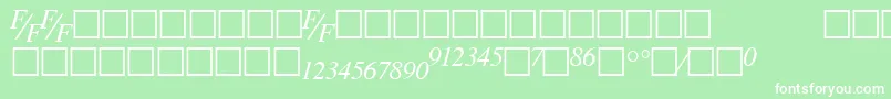 TmsfeItalic Font – White Fonts on Green Background