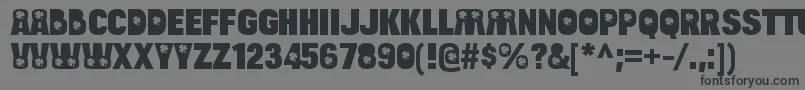 BulltoadluckyRegular Font – Black Fonts on Gray Background