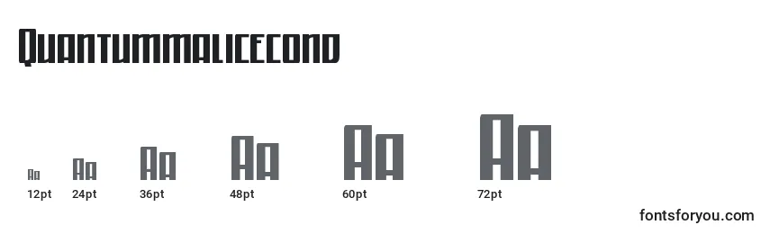 Размеры шрифта Quantummalicecond