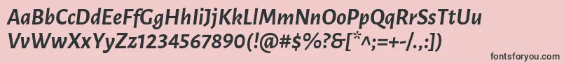 LunasansBolditalic Font – Black Fonts on Pink Background
