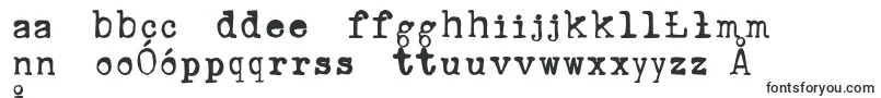 RustyTypewriter Font – Polish Fonts