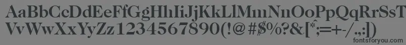 フォントCaslon335Bold – 黒い文字の灰色の背景