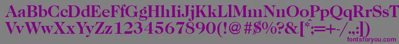 Шрифт Caslon335Bold – фиолетовые шрифты на сером фоне