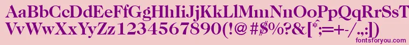 fuente Caslon335Bold – Fuentes Moradas Sobre Fondo Rosa