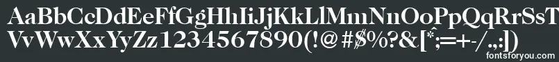 フォントCaslon335Bold – 白い文字