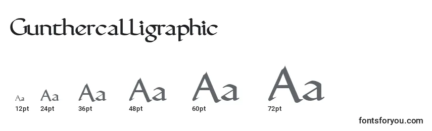 Размеры шрифта Gunthercalligraphic