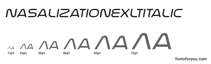 Размеры шрифта NasalizationexltItalic