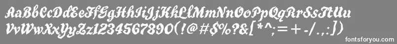 Truegritc Font – White Fonts on Gray Background
