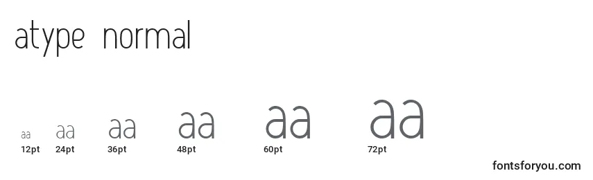 Atype1Normal Font Sizes