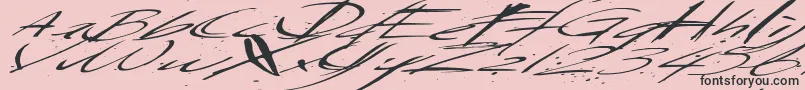 Saturdaysundaymonday Font – Black Fonts on Pink Background
