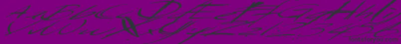 Police Saturdaysundaymonday – polices noires sur fond violet