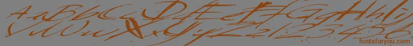 Saturdaysundaymonday Font – Brown Fonts on Gray Background