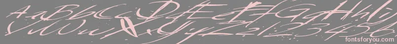 Saturdaysundaymonday Font – Pink Fonts on Gray Background