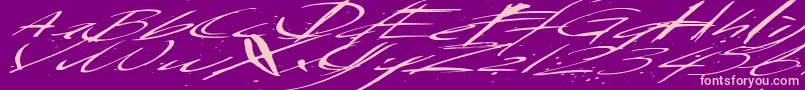 Saturdaysundaymonday Font – Pink Fonts on Purple Background