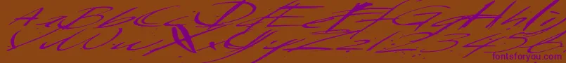 Saturdaysundaymonday Font – Purple Fonts on Brown Background