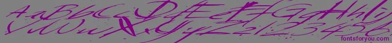 Police Saturdaysundaymonday – polices violettes sur fond gris