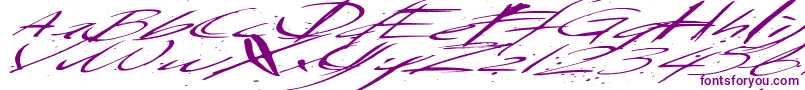 Police Saturdaysundaymonday – polices violettes sur fond blanc