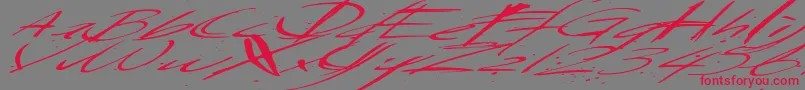 Saturdaysundaymonday Font – Red Fonts on Gray Background
