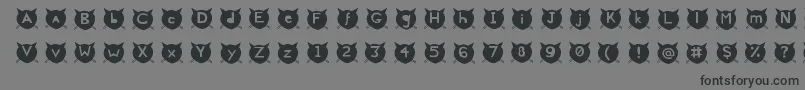 CatsMeow-Schriftart – Schwarze Schriften auf grauem Hintergrund