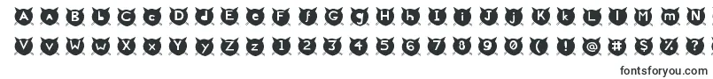 CatsMeow-fontti – Fontit Adobe Indesignille