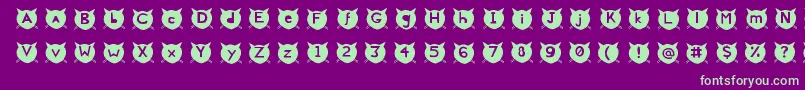 CatsMeow-Schriftart – Grüne Schriften auf violettem Hintergrund