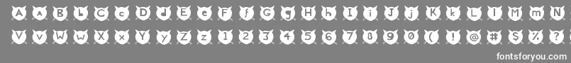 CatsMeow Font – White Fonts on Gray Background