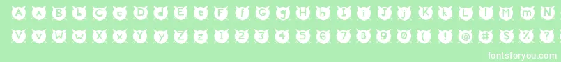 CatsMeow Font – White Fonts on Green Background