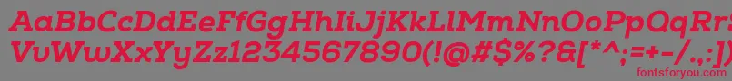 NexaSlabHeavyItalic-fontti – punaiset fontit harmaalla taustalla