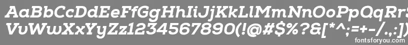 NexaSlabHeavyItalic Font – White Fonts on Gray Background