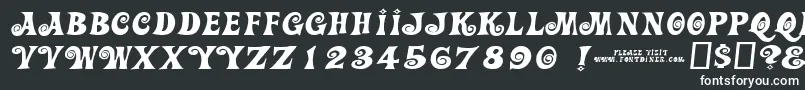 フォントAction Is Wider Jl – 黒い背景に白い文字