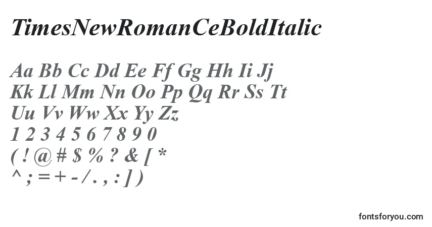 Czcionka TimesNewRomanCeBoldItalic – alfabet, cyfry, specjalne znaki
