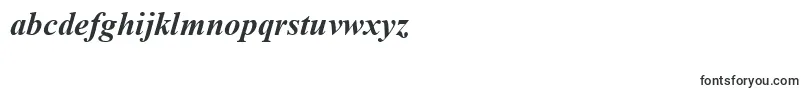 TimesNewRomanCeBoldItalic Font – Alphabet Fonts
