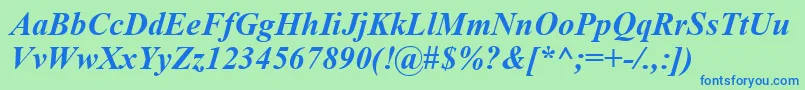 TimesNewRomanCeBoldItalic Font – Blue Fonts on Green Background
