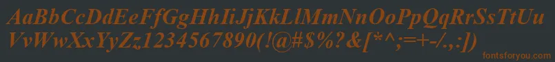 TimesNewRomanCeBoldItalic Font – Brown Fonts on Black Background