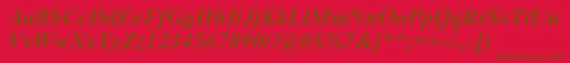 TimesNewRomanCeBoldItalic Font – Brown Fonts on Red Background