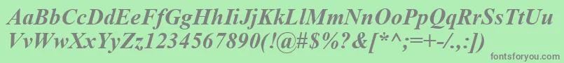 TimesNewRomanCeBoldItalic Font – Gray Fonts on Green Background