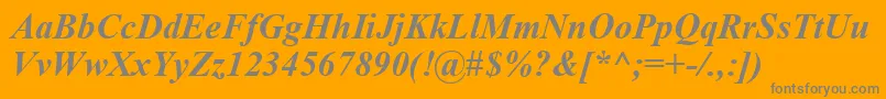 TimesNewRomanCeBoldItalic Font – Gray Fonts on Orange Background