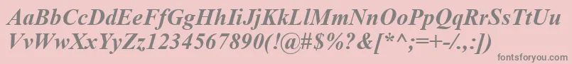 TimesNewRomanCeBoldItalic Font – Gray Fonts on Pink Background