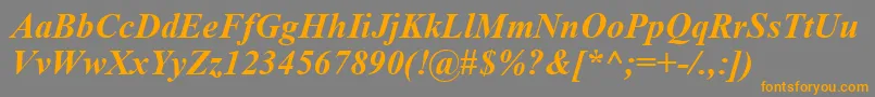 TimesNewRomanCeBoldItalic Font – Orange Fonts on Gray Background